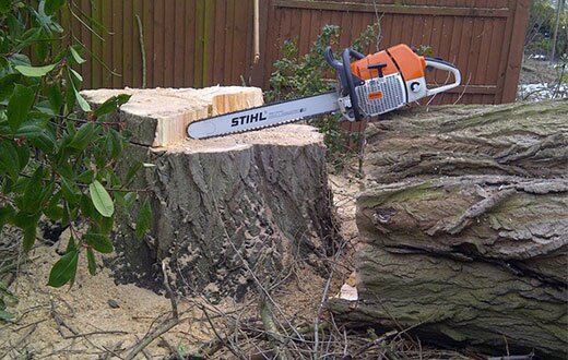 Stump Removal in Johannesburg, Pretoria and surrounding areas