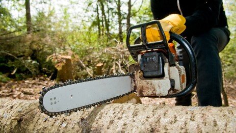 Tree Removal Midrand